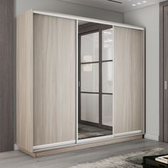 Шкаф-купе Медиум 1 зеркало, 180х45х240 Е1 45EMT1_180240_SHS