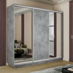 Шкаф-купеЕ1 Экспресс Зеркало/ДСП/Зеркало 240х60х220, Бетон