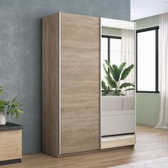 Шкаф-купе Прайм ДСП/Зеркало, 160х57х230 Е1 1PDZ_160_S
