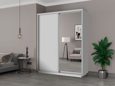Шкаф-купеЕ1 Экспресс ДСП/Зеркало 180х45х220, Белый снег