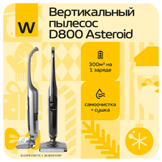 Пылесос Wollmer D800 Asteroid серебристый