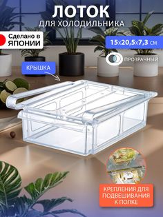 Органайзер Iseto кухонный для холодильника 15х20,5х7,3 см I-533