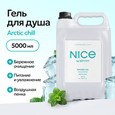 Гель для душа Nice by Septivit Arctic Chill 5л