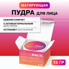 Матирующая пудра ARTFAC для лица с оксидом цинка и аллантоином 15 г Art&Fact