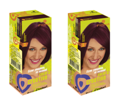 Краска для волос Fiona Creative color тон 5.2 Божоле 2 уп