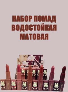 Помада для губ MissRoyal-6 матовая водостойкая 6 разных оттенков 16х9 см