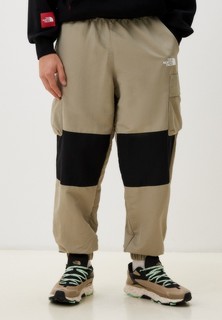 Брюки спортивные The North Face