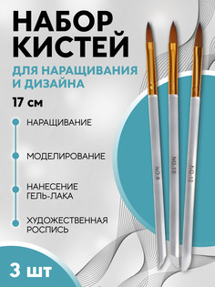 Набор кистей для наращивания и дизайна ногтей, лепесток, 3 шт, 17 см, прозрачный, золотистый Queen Fair