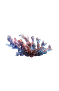 Блюдо для фруктов Coral Sea Daum