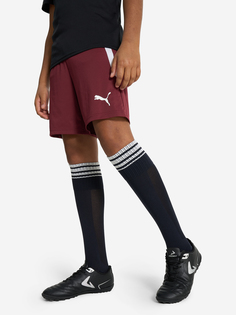 Шорты для мальчиков PUMA Teamliga Jr, Красный