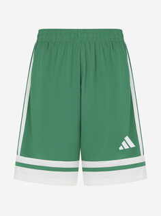 Шорты для мальчиков adidas Squa25, Зеленый