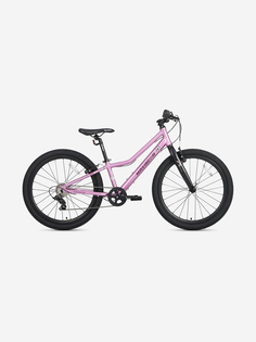 Велосипед детский Maxiscoo 5BIKE 24 L200, розовый сапфир, 2025, Розовый