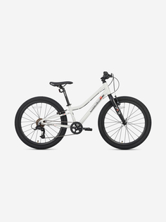 Велосипед детский Maxiscoo 3BIKE 24 L, серый, 2025, Серый