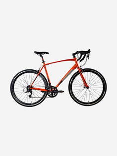 Велосипед для взрослых Stark Peloton 700.1 D оранжевый/черный/серый 20", Оранжевый
