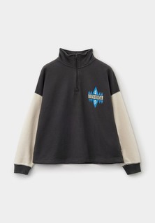 Олимпийка Quiksilver