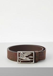 Ремень Etro