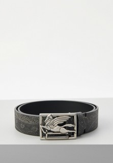 Ремень Etro