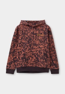 Худи DC Shoes