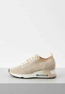 Кроссовки Ash
