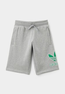 Шорты спортивные adidas Originals