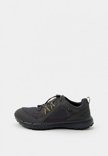 Кроссовки Ecco