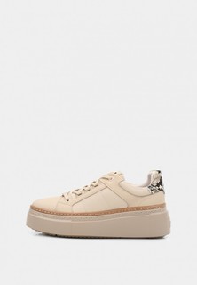 Кеды Pierre Cardin