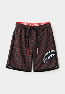 Шорты для плавания Sprayground