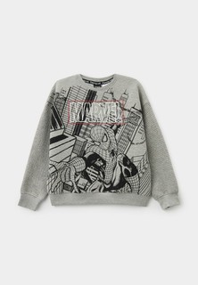 Свитшот Desigual