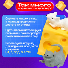 Развивающая игрушка Iq Zabiaka