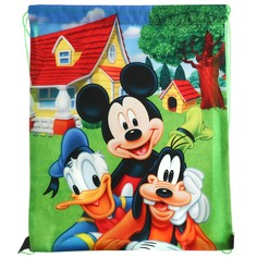 Мешок для обуви 420×330 мм, Disney