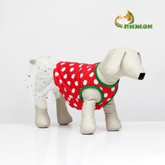 Костюм для животных No Brand