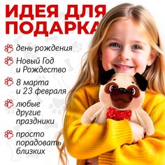 Мягкая игрушка Pomposhki