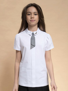 Футболка Pelican