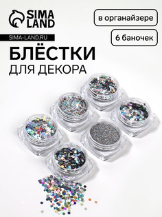 Набор для декора ногтей, в пластиковом органайзере, 6 баночек, цвет серебристый QF