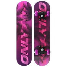 Скейтборд подростковый onlitop, 62×16 см, колеса pvc 50 мм, пластиковая рама