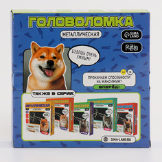 Головоломка металлическая Puzzle