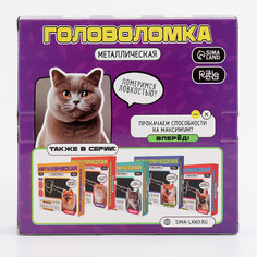Головоломка металлическая Puzzle