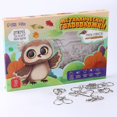 Металлическая головоломка Puzzle