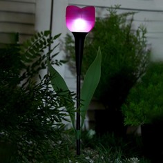 Садовый светильник на солнечной батарее Luazon Lighting
