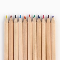 Цветные карандаши мини в тубусе, 12 шт Art Fox