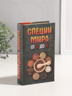Шкатулка книга-сейф No Brand