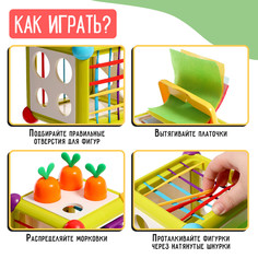 Развивающий сортер Iq Zabiaka