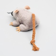 Игрушка для кошек Пижон