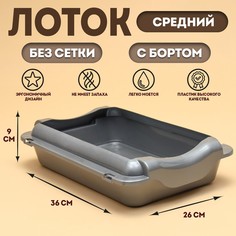 Туалет средний с бортом 36 х 26 х 9 см, лоток+борт серебро No Brand