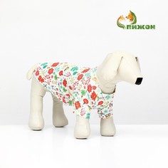 Толстовка для животных No Brand
