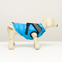 Куртка для собак со светоотражающей шлейкой, размер 12 (дс 28, ог 38, ош 27), голубая Пижон