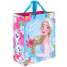Пакет подарочный Disney