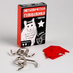 Металлическая головоломка Puzzle