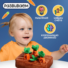 Развивающий сортер Iq Zabiaka