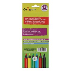 Карандаши цветные заточенные, 12 цветов, в картонной коробке Calligrata